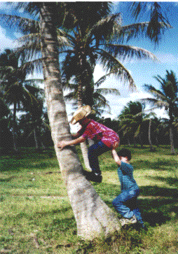 dominican republic